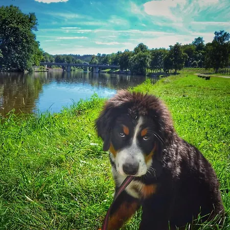 Camping Prima Týn nad Vltavou