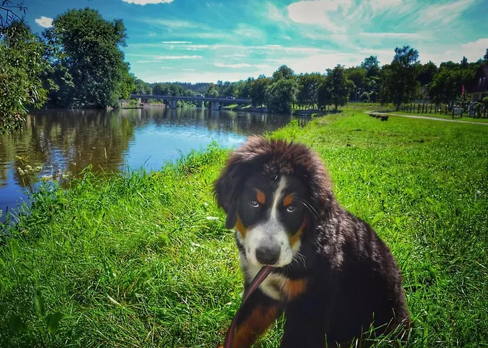 Camping Prima Týn nad Vltavou